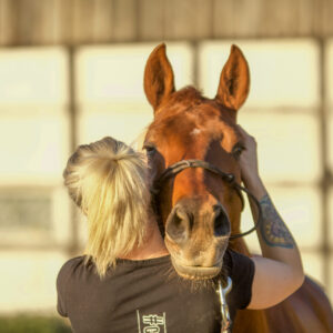Praxisworkshop für Pferdetherapeuten